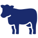 BlueCow