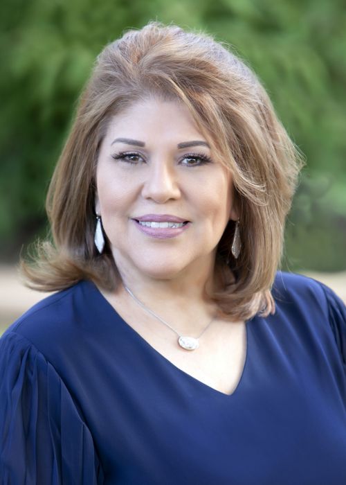 Silvia Perez Garza County Clerks Website